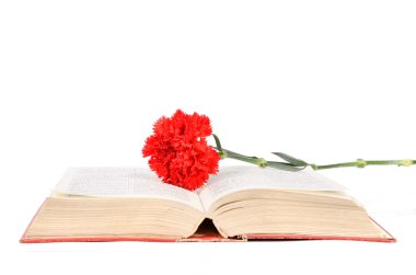 karanfil ve kitap