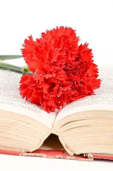 karanfil ve kitap