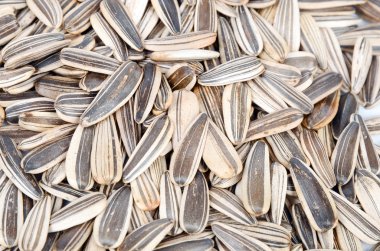 Güneş çiçek tohumları