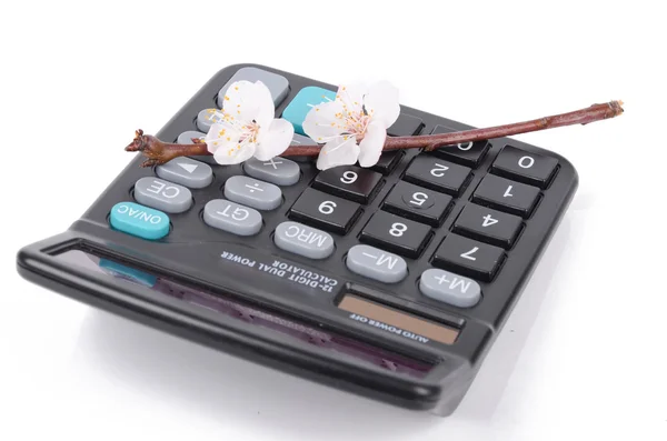 Calculadora e flor de pêssego — Fotografia de Stock