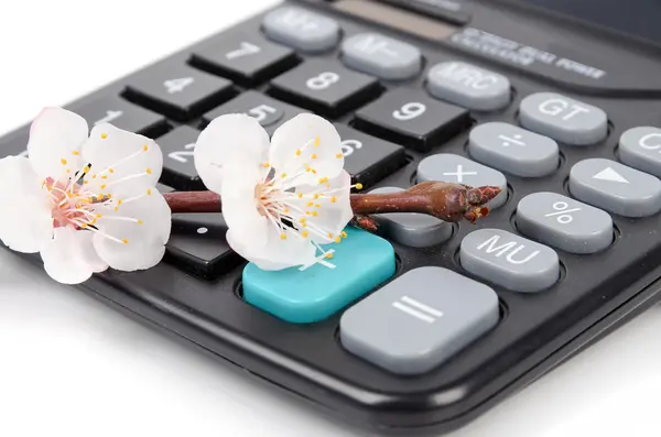 Calcolatrice e fiori di pesco — Foto Stock