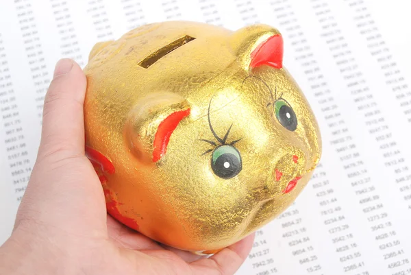 Financial data and piggy bank — Stock Photo, Image