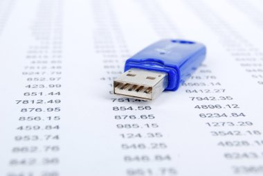 USB flash disk ve finansal veri
