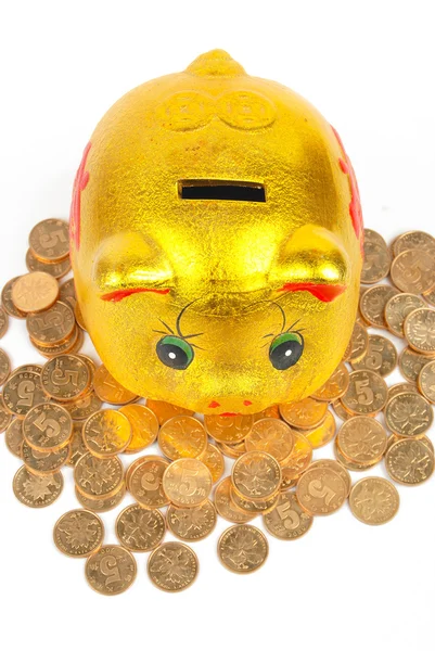 Piggy bank and coins — Stock Photo, Image