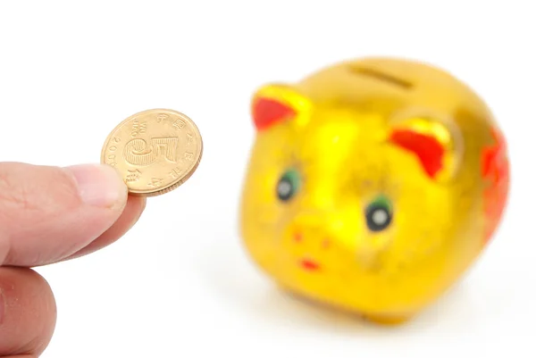 Piggy bank and coins — Stock Photo, Image