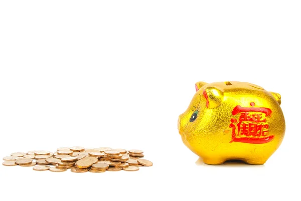 Piggy bank and coins — Stock Photo, Image