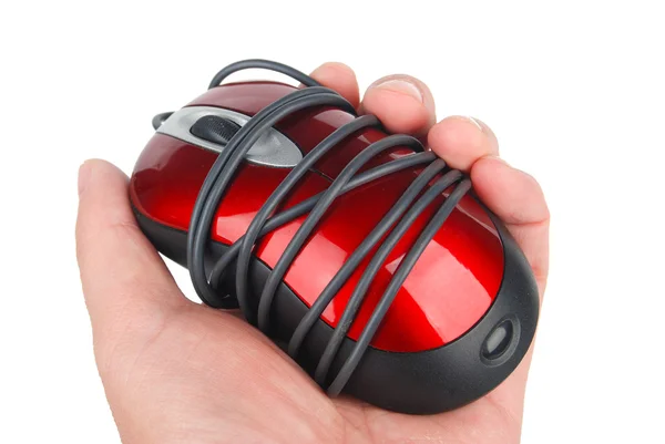 Souris USB — Photo