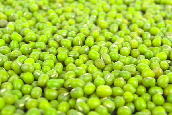 Fava de soja verde — Fotografia de Stock