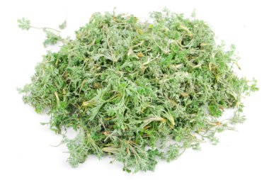 Herba artimisiae sieversianae