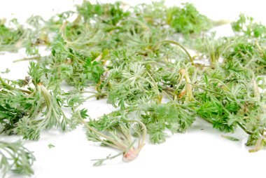 Herba artimisiae sieversianae
