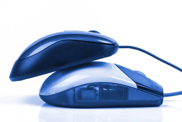 Computer mouse — Stock Photo, Image