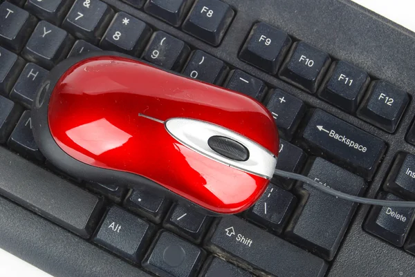 Bilgisayar faresi ve klavye — Stok fotoğraf