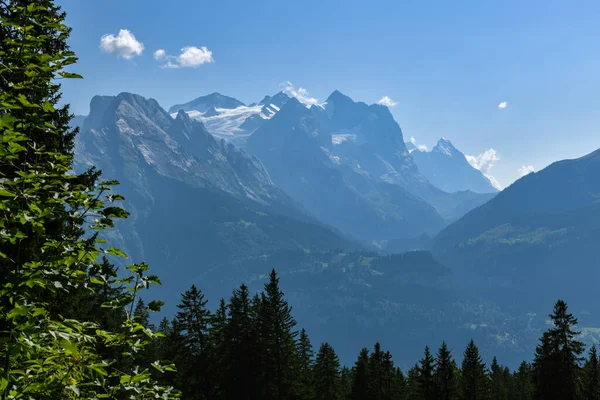 Majestueuze Wetterhorn Piek Bedekt Door Gletsjer Het Kanton Bern Zwitserland — Stockfoto