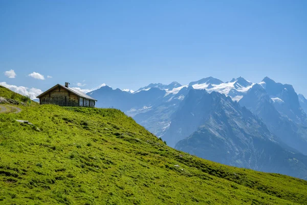 Houten Huis Met Een Ongelooflijk Uitzicht Wetterhorn Piek Zwitserse Alpen — Stockfoto