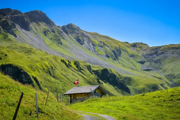 Petite Maison Bois Haut Dans Les Montagnes Dessus Meiringen Suisse — Photo