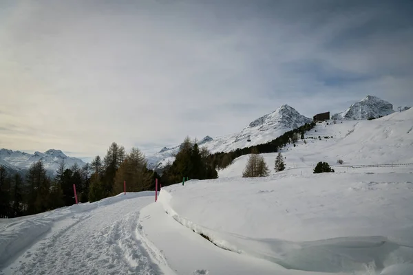 Moritz Suiza Diciembre 2019 Sendero Que Conduce Estación Esquí Por — Foto de Stock