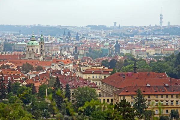 Červené střechy z Prahy — Stock fotografie