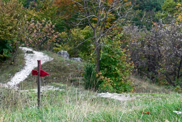 Ormanın içinde kırmızı turist işaretleri — Stok fotoğraf