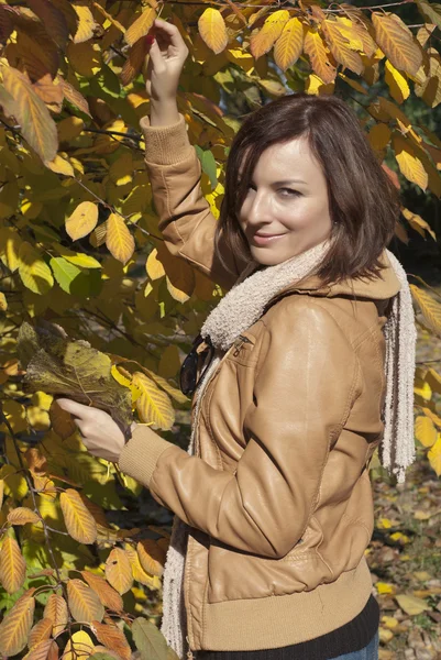 Bella donna che si tiene per mano cespuglio autunno e sorridente — Foto Stock