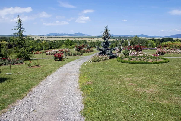 Garden path in slovak arboretum — Stock Photo, Image