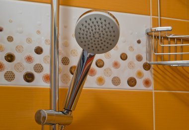 duş başlığı ve dekoratif karolar