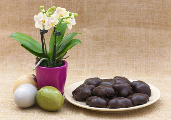 Flor de orquídea, ovos de páscoa e pão de gengibre — Fotografia de Stock