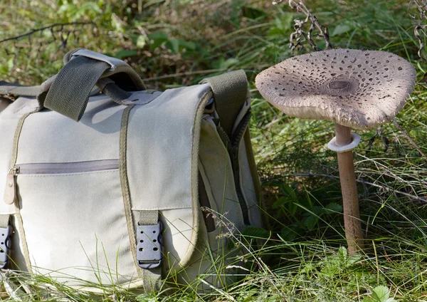 遮阳伞蘑菇 (Macrolepiota procera) 及旅行袋 — 图库照片