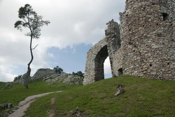 Ruine der Burg hrusov und einsamer Baum — Stockfoto