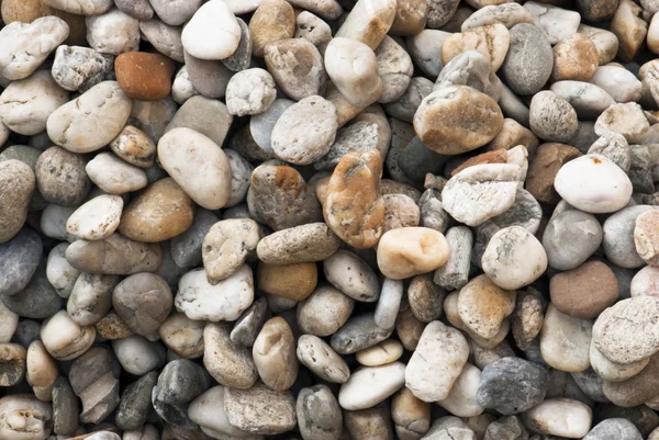 Stock image Pebble