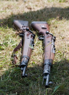 Two rifles in the grass clipart