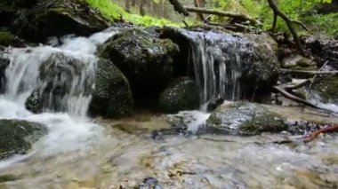 Yaz tarafından derin orman şelale
