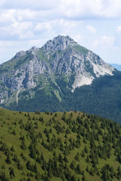 Big Rozsutec (Velky Rozsutec) en la montaña Mala Fatra, Eslovaquia — Foto de Stock