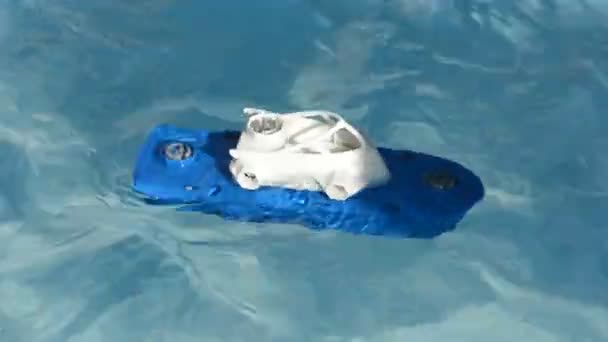 Barco de juguete flota en el agua — Vídeos de Stock