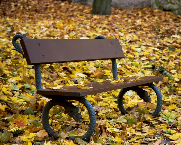 Eine Bank mit herbstlichen trockenen Blättern — Stockfoto