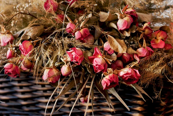 Dried roses in a wicker basket — Stock Photo, Image