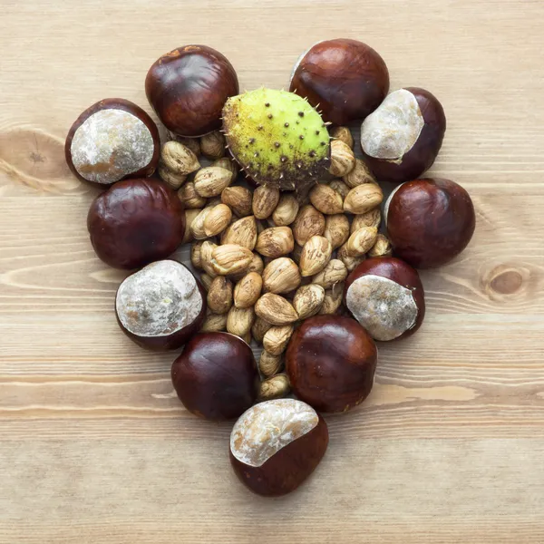 Autumn heart of horse-chestnuts and nuts — Stock Photo, Image