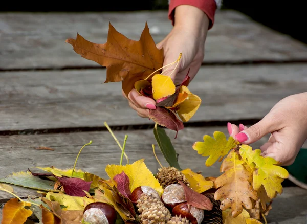 Autumn leaves in female hands — Stock Photo, Image