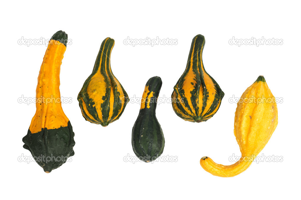 Ornamental gourds isolated