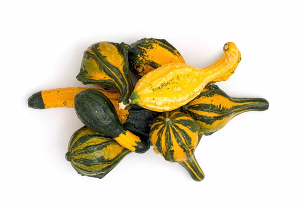 Ornamental gourds in a pile — Stock Photo, Image