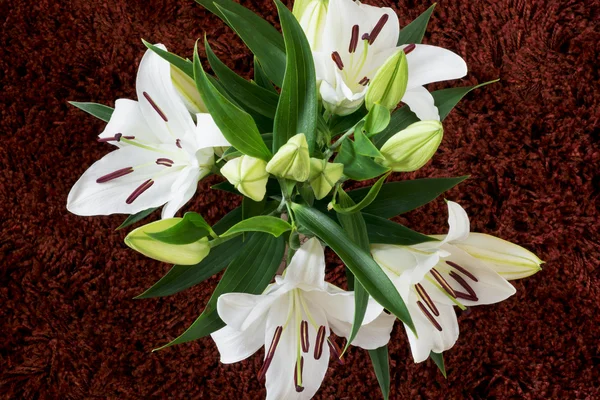 Buket çiçek açan ve beyaz lilyum — Stok fotoğraf