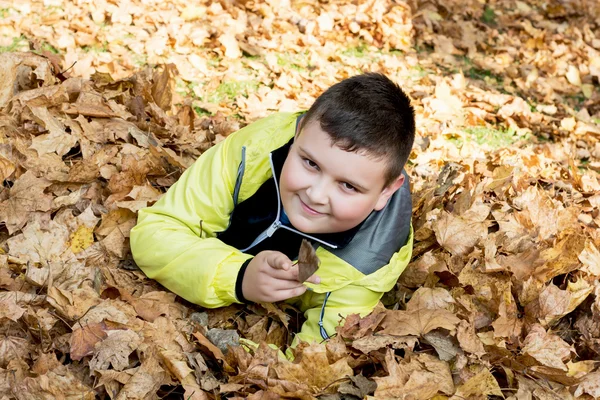 Little boy plays in autumn dry leaves — Stock Photo, Image