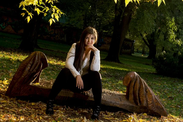 Jonge brunette poseren in herfst park — Stockfoto