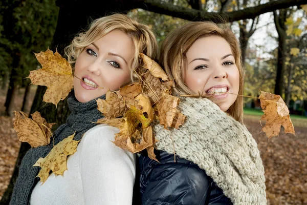 Zwei schöne Frauen mit trockenen Blättern in den Zähnen bis zum Herbst. — Stockfoto