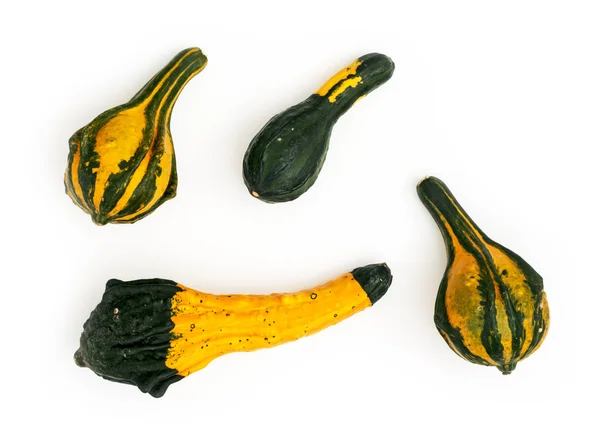 Four ornamental gourds isolated — Stock Photo, Image