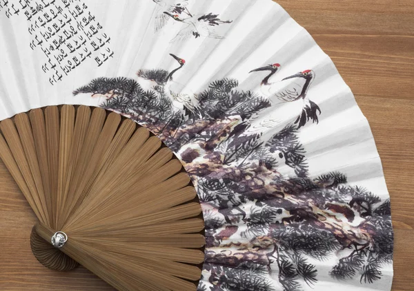 Traditional artistic fan — Stock Photo, Image