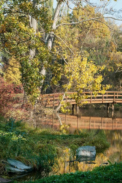 Dřevěný most a jezero v podzimní přírodě — Stock fotografie