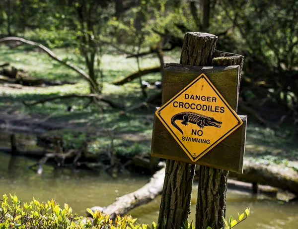 Danger crocodiles — Stock Photo, Image
