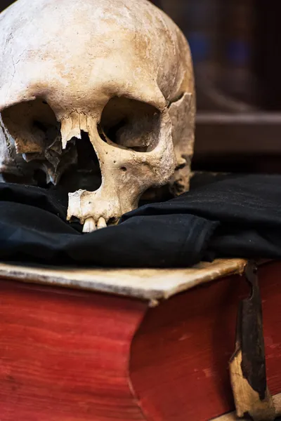 Human skull and old book — Stock Photo, Image