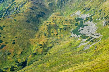 Alçak Tatras Dağı, Slovakya Cumhuriyeti. Yürüyüş teması. Mevsimsel doğal sahne.