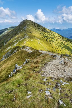 Bor Hill, Low Tatras Dağı, Slovak Cumhuriyeti. Yürüyüş teması. Mevsimsel doğal sahne.